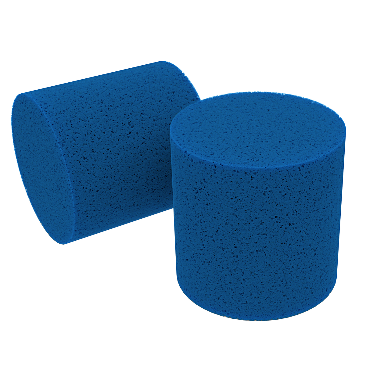 iHSV1 Dust Canister Sponge Filter